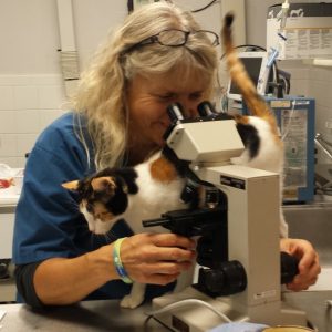 A team member looking through a microscope while Kilo wants attention